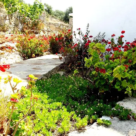 Knidos * 达特恰